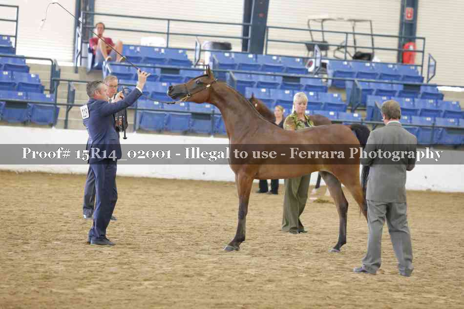 Proof 15R14_02001