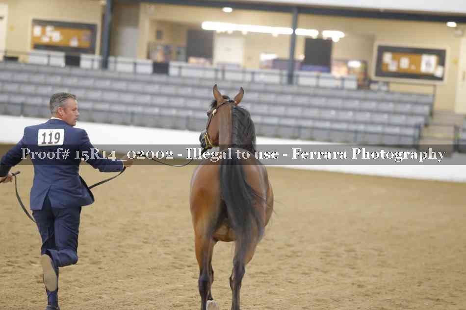 Proof 15R14_02002