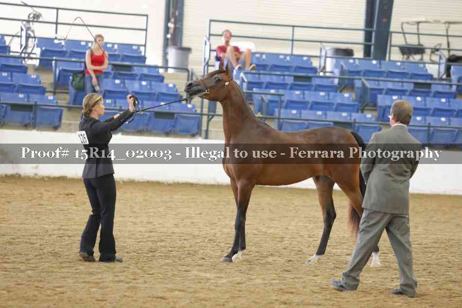 Proof 15R14_02003