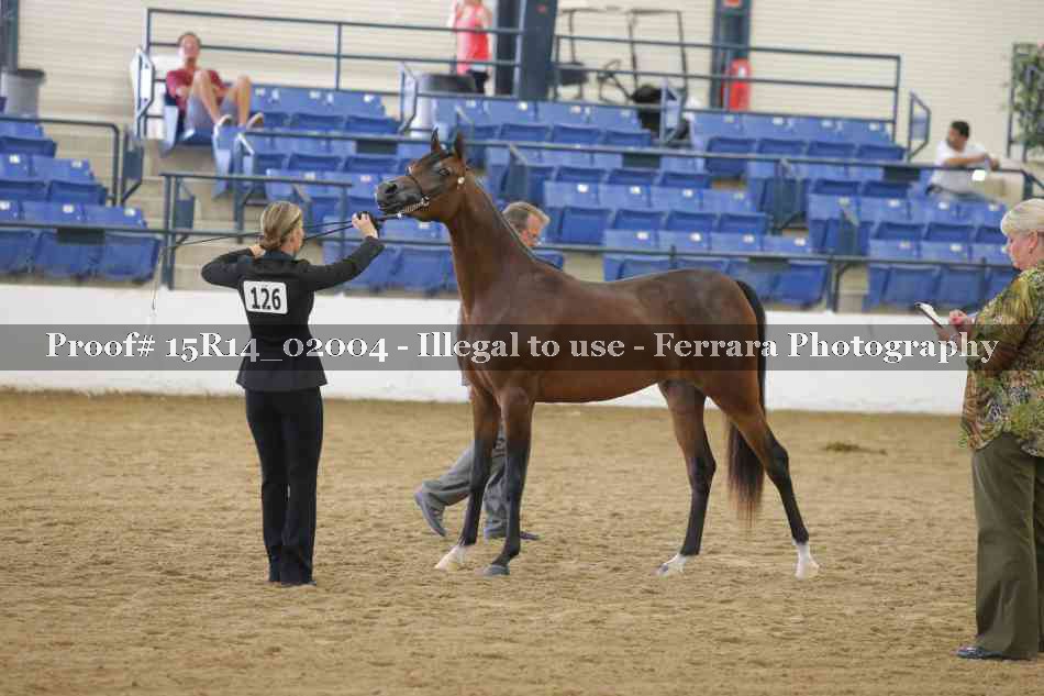 Proof 15R14_02004