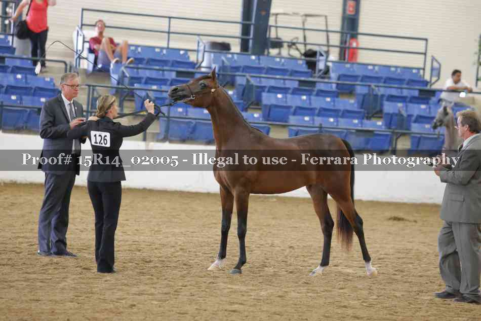 Proof 15R14_02005