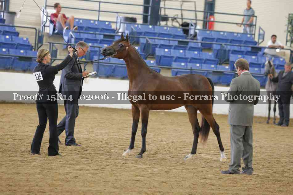 Proof 15R14_02006