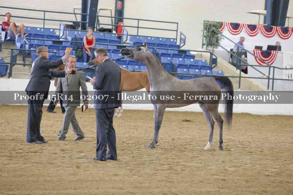 Proof 15R14_02007