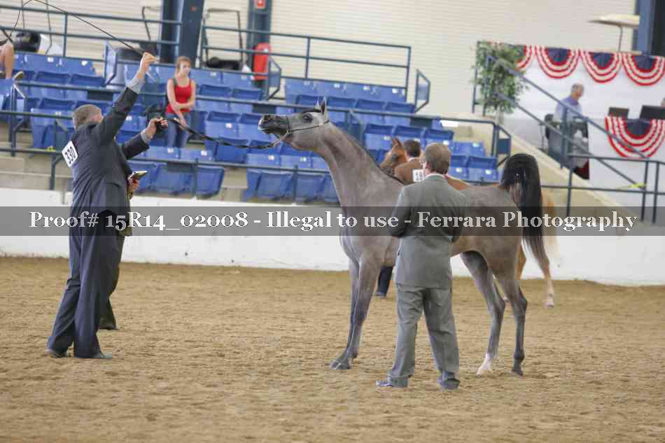 Proof 15R14_02008