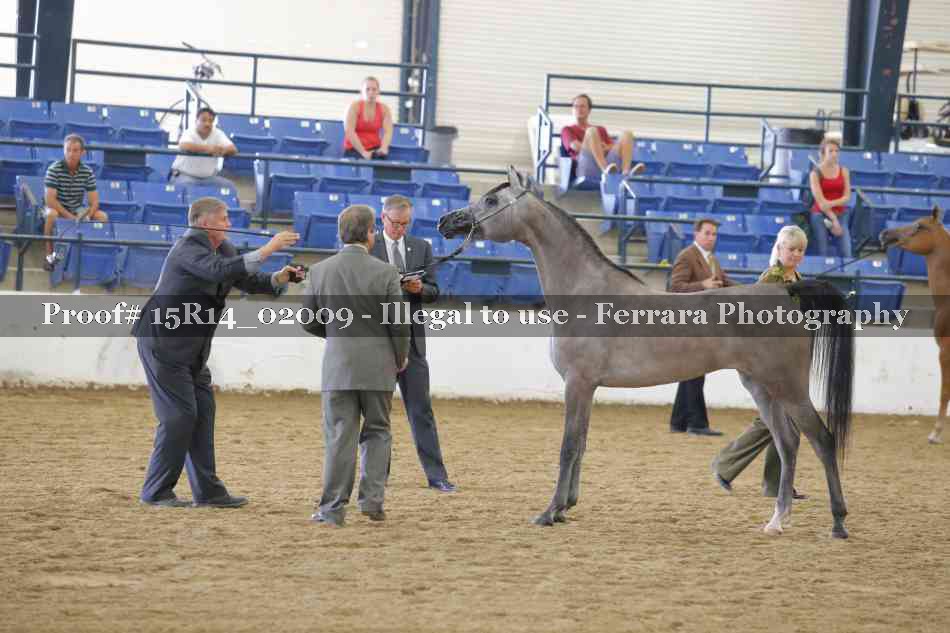 Proof 15R14_02009