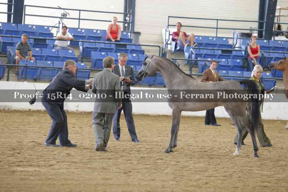 Proof 15R14_02010