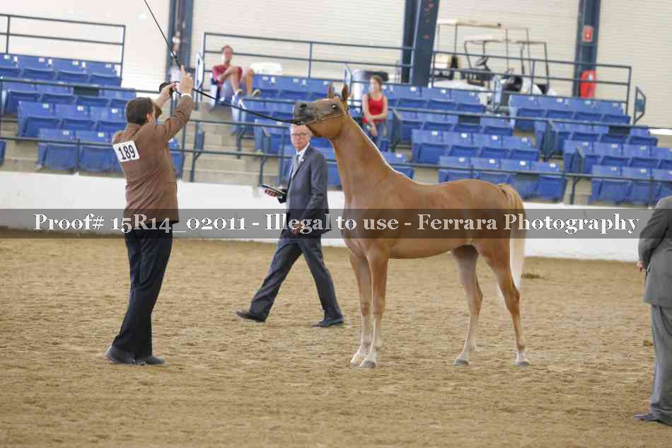 Proof 15R14_02011