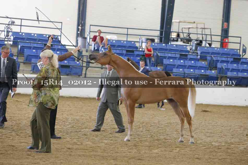 Proof 15R14_02012