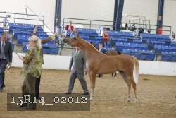 15R14_02012 proof