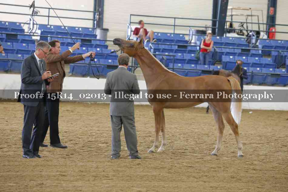 Proof 15R14_02013
