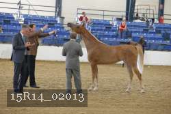 15R14_02013 proof