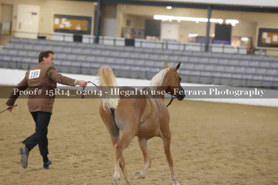Proof 15R14_02014