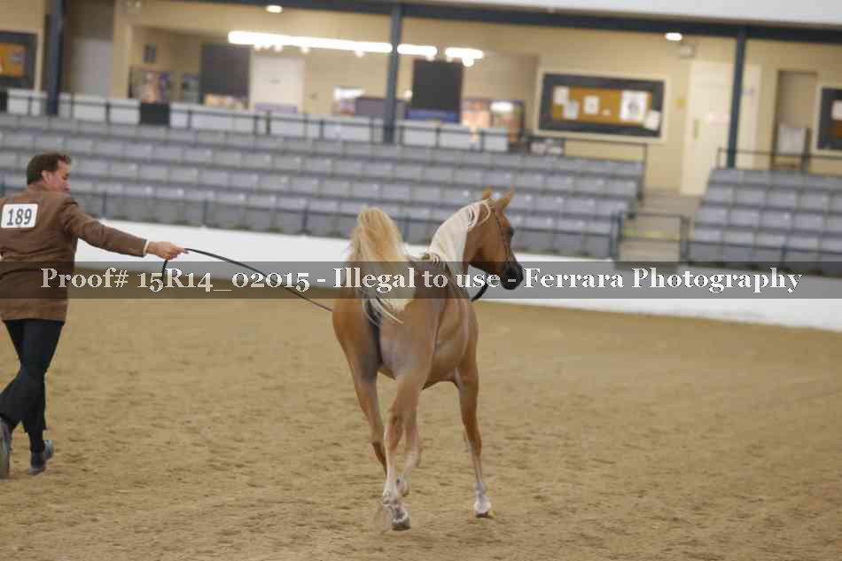 Proof 15R14_02015