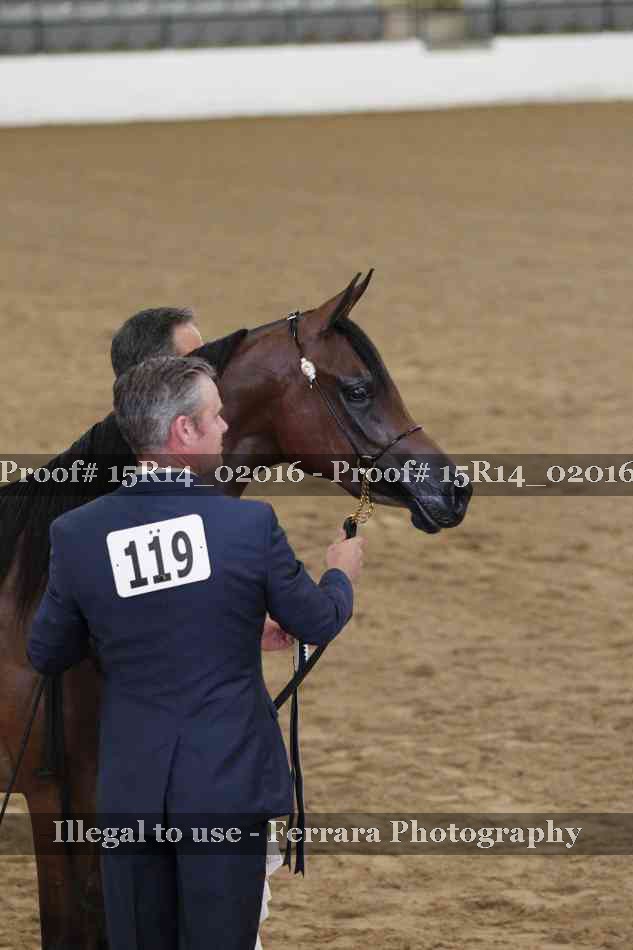 Proof 15R14_02016