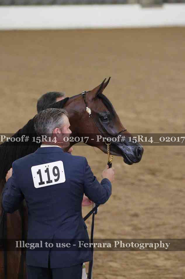 Proof 15R14_02017