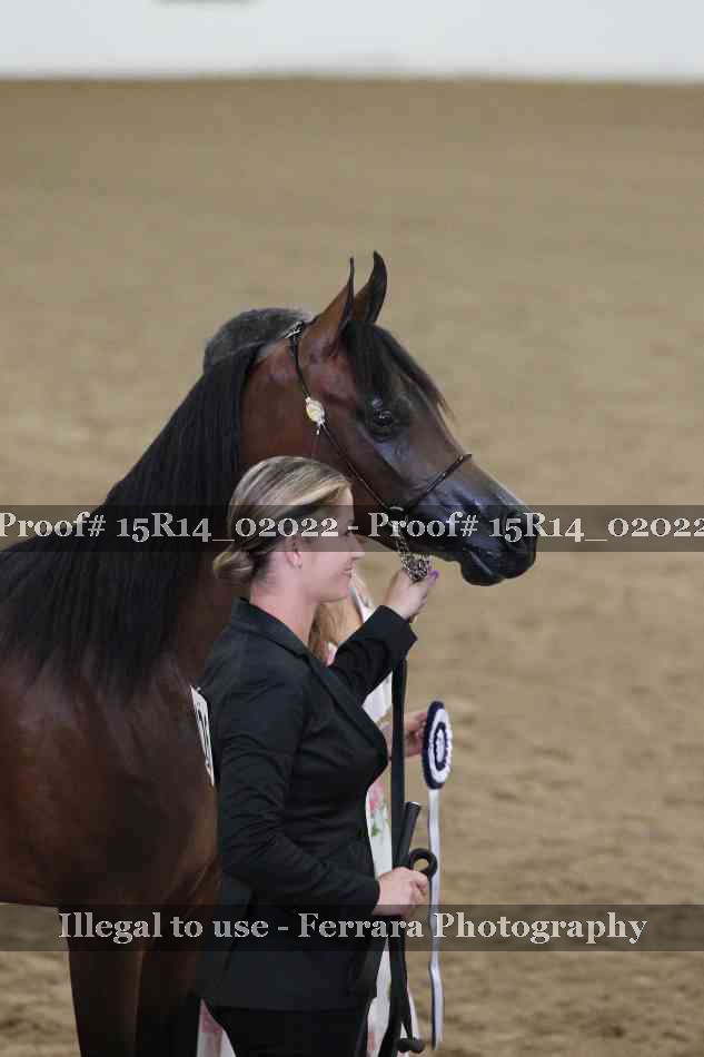 Proof 15R14_02022