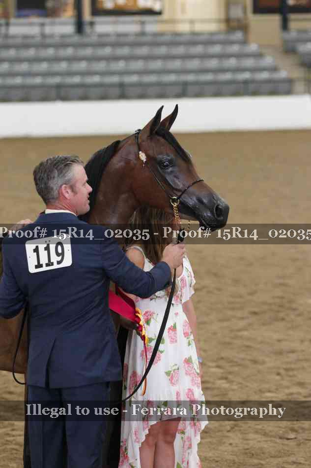 Proof 15R14_02035