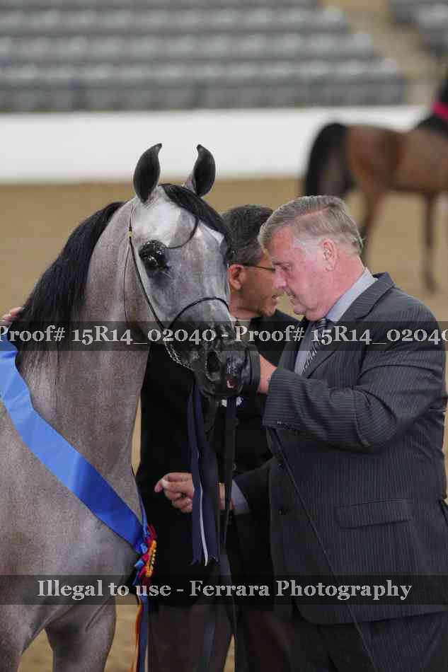 Proof 15R14_02040