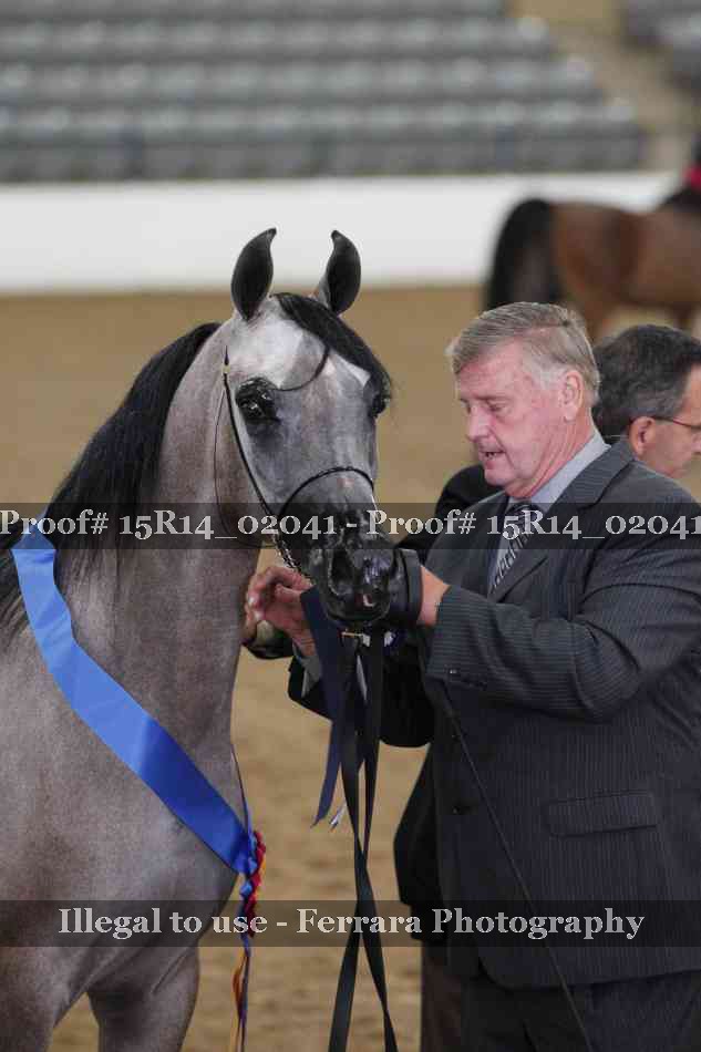 Proof 15R14_02041