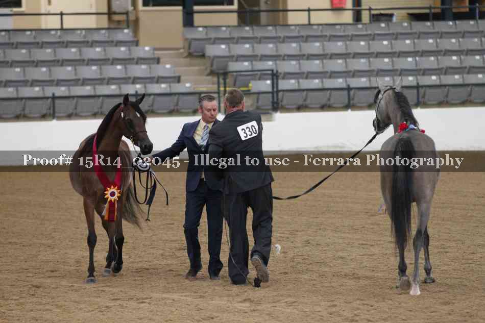 Proof 15R14_02045