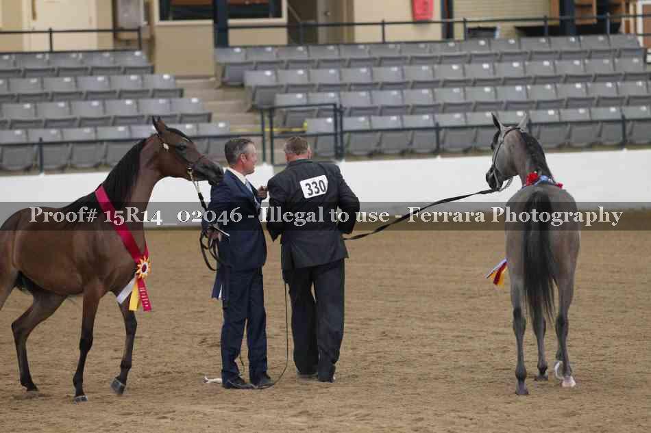 Proof 15R14_02046
