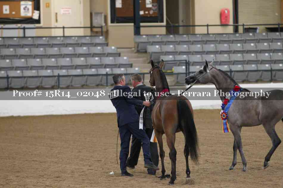 Proof 15R14_02048