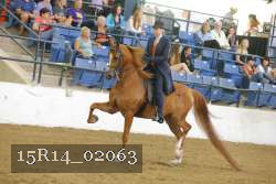 15R14_02063 proof