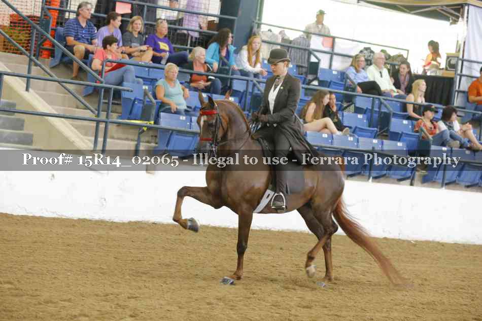 Proof 15R14_02065