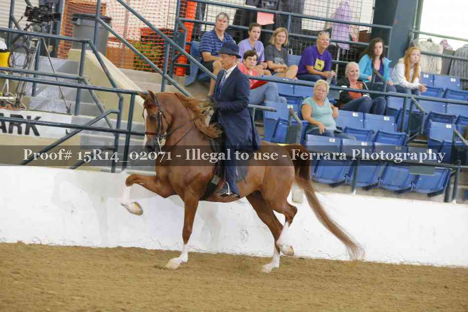 Proof 15R14_02071