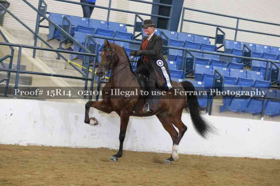 Proof 15R14_02101