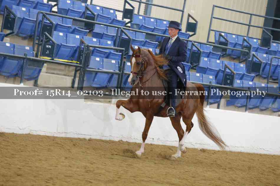 Proof 15R14_02103