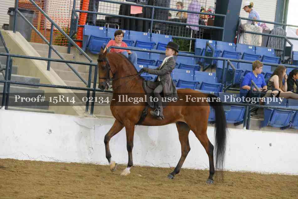 Proof 15R14_02134