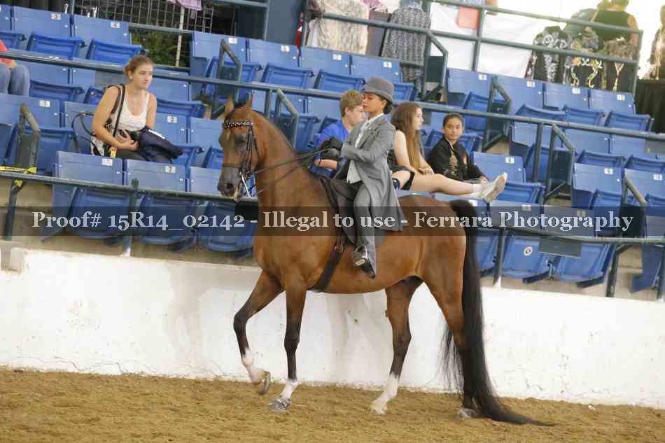 Proof 15R14_02142