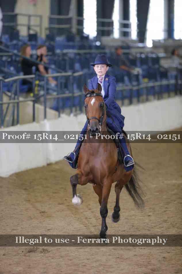 Proof 15R14_02151