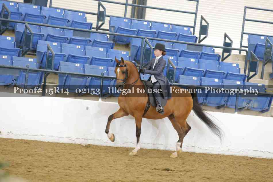 Proof 15R14_02153