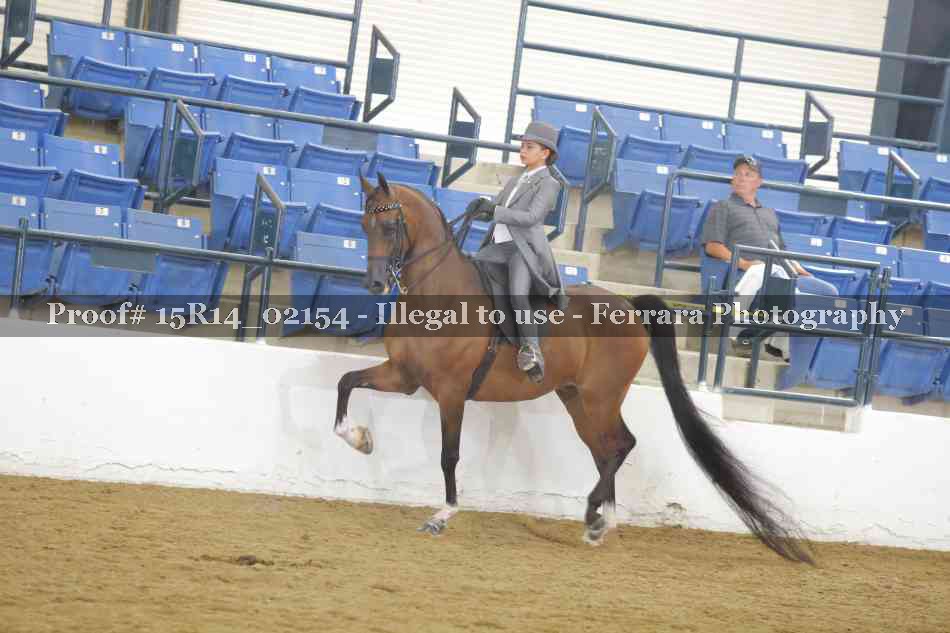 Proof 15R14_02154