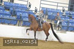 15R14_02154 proof