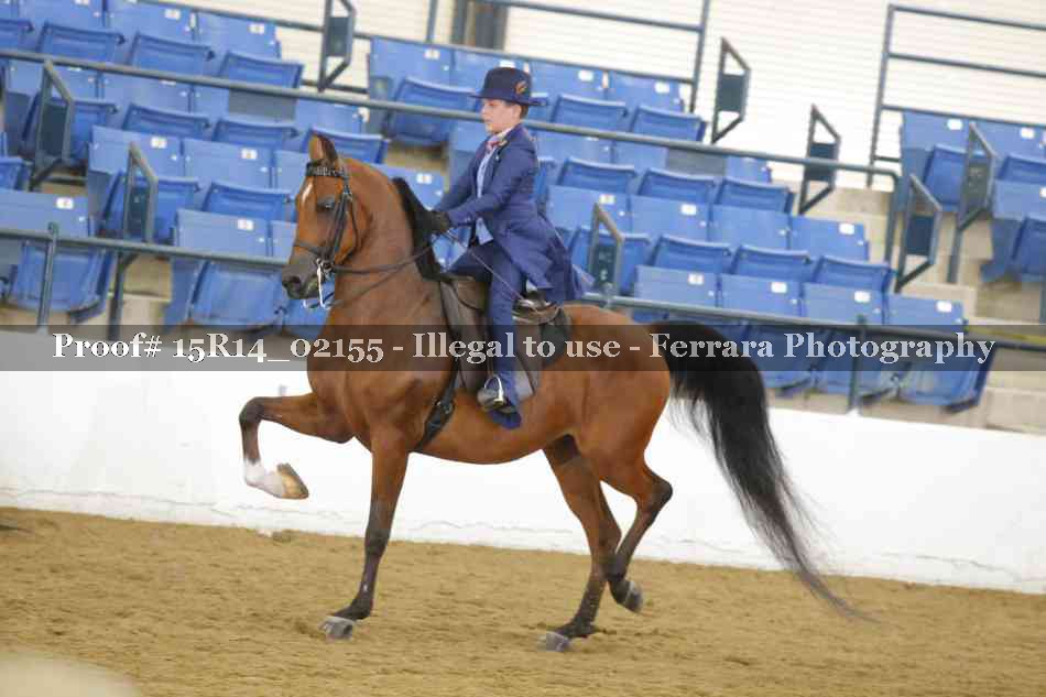 Proof 15R14_02155