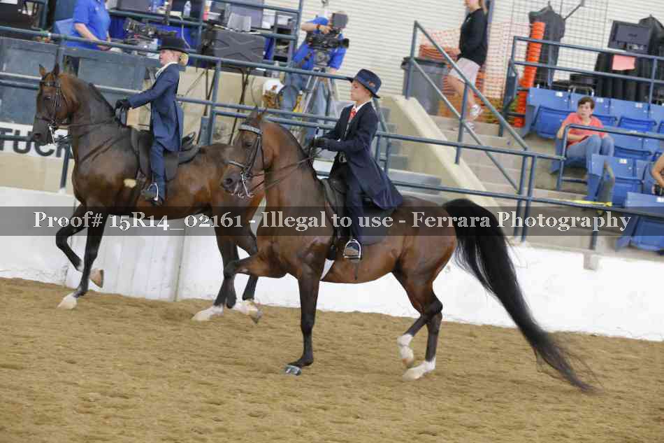 Proof 15R14_02161