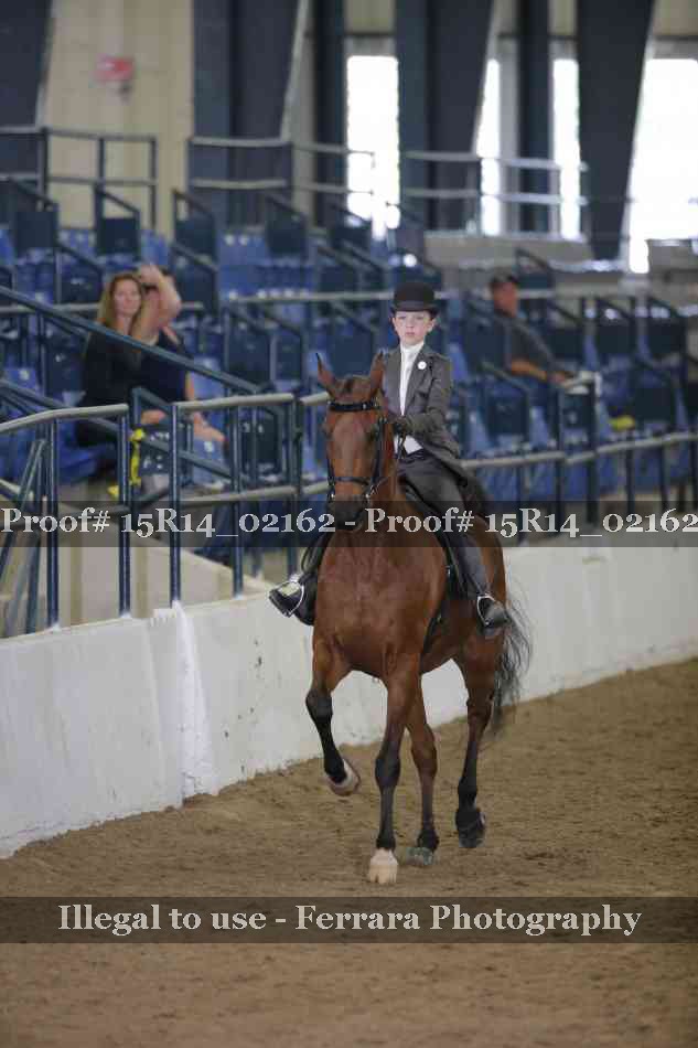 Proof 15R14_02162