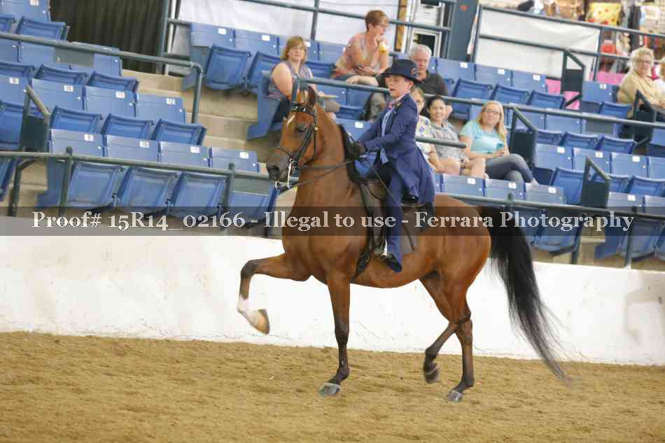 Proof 15R14_02166
