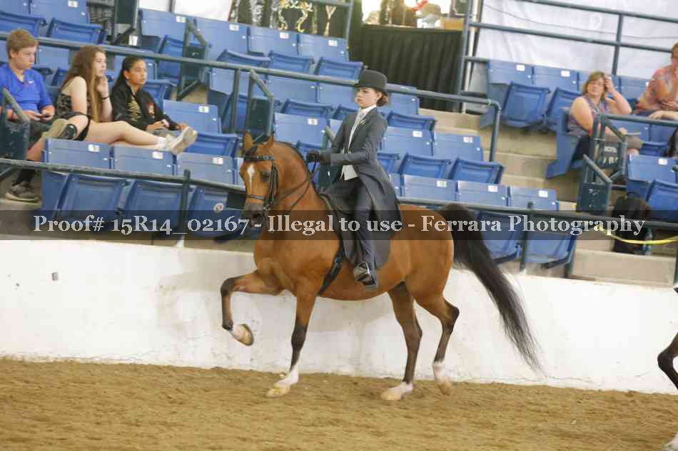 Proof 15R14_02167