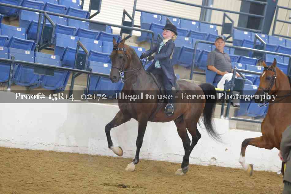 Proof 15R14_02172