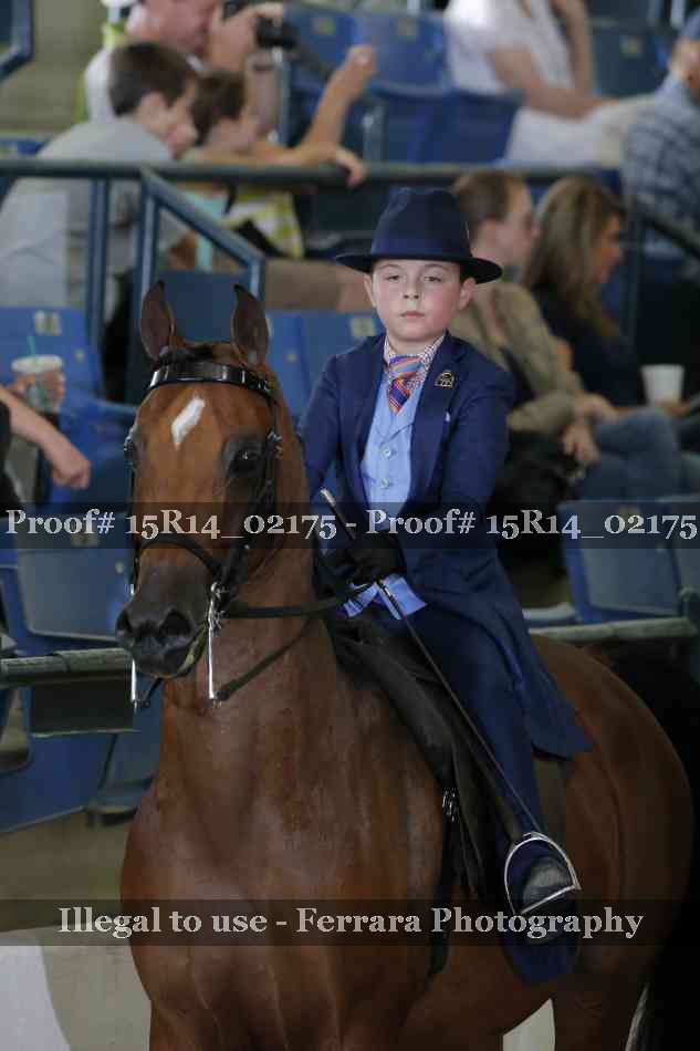 Proof 15R14_02175