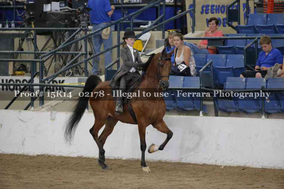 Proof 15R14_02178