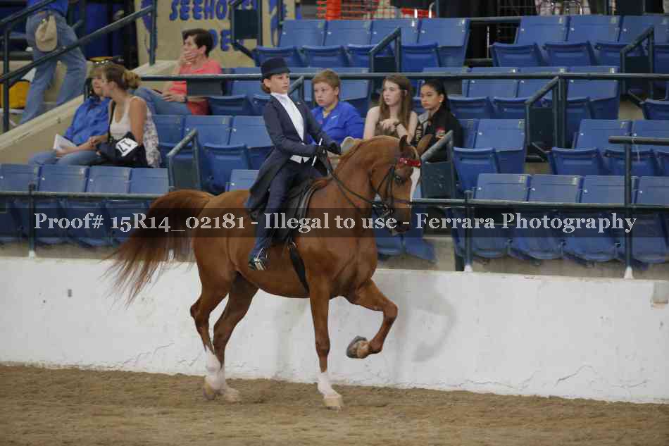 Proof 15R14_02181