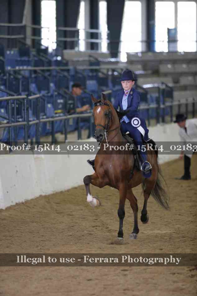 Proof 15R14_02183