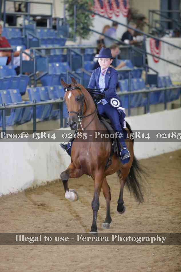 Proof 15R14_02185