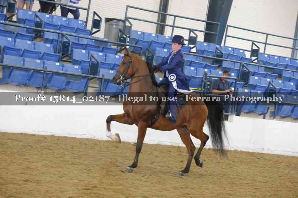 Proof 15R14_02187