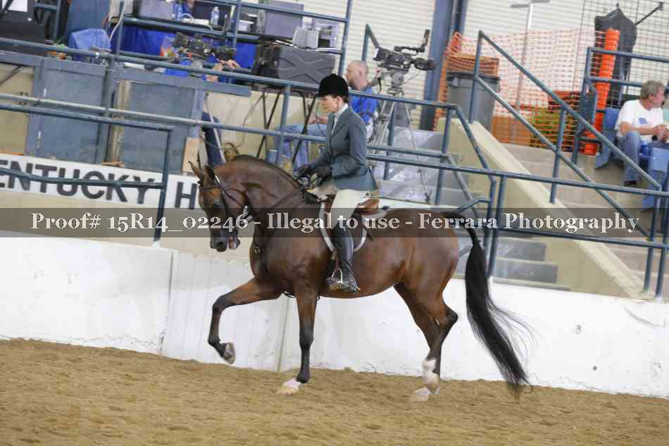 Proof 15R14_02246
